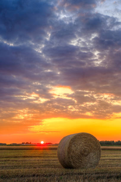 istock Sunset over farm field with hay bales 914035890