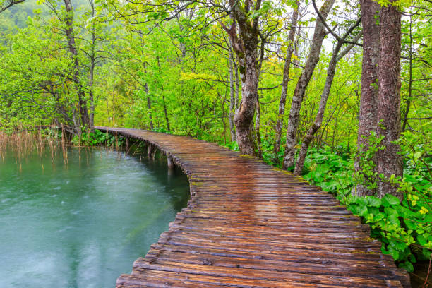 istock Boardwalk in the park Plitvice lakes 914038098