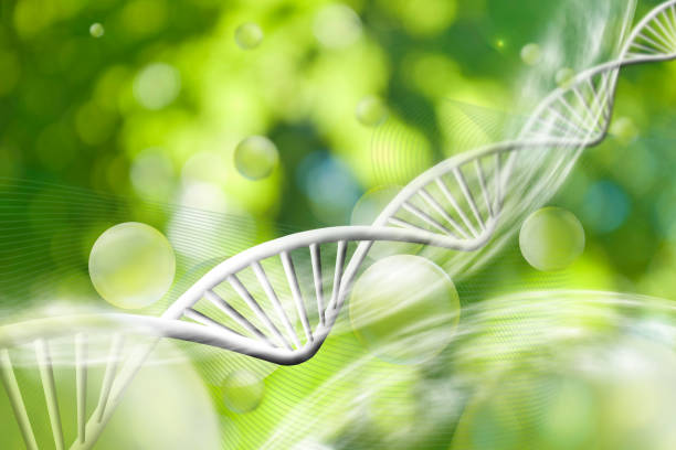 istock Image of molecular structure and chain of dna on a green background close-up 914041876