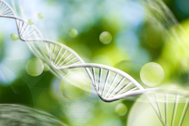 istock Image of molecular structure and chain of dna on a green background close-up 914041884