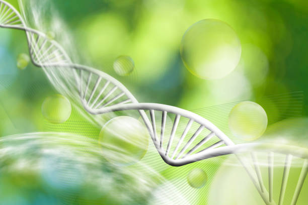 istock Image of molecular structure and chain of dna on a green background close-up 914041886