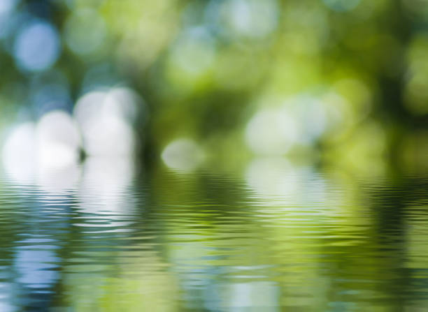 istock image of beautiful abstract natural background. 914046016