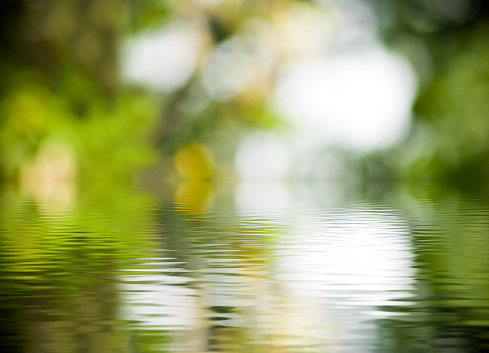 Tree reflections in a pond on a autumn day outdoors.