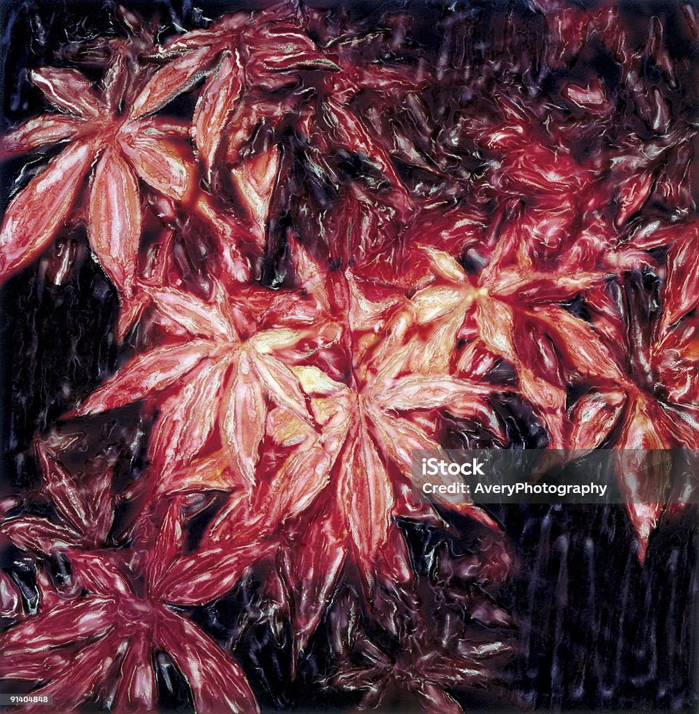 Red Maple folhas - Royalty-free Beleza natural Foto de stock
