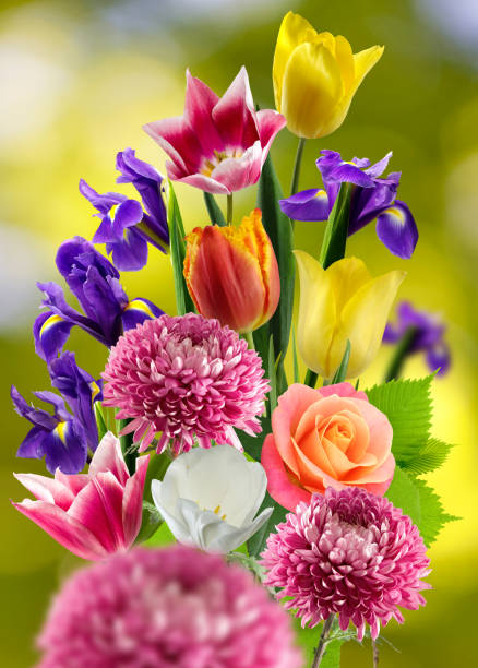 a colorful bouquet of bright spring flowers of various types, close-up