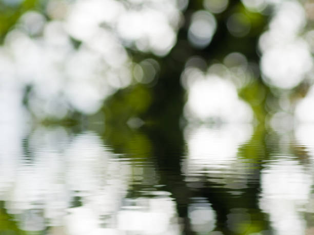 istock image of beautiful abstract natural background. 914049132