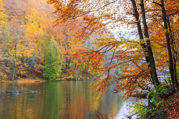 istock Autumn lake Hamori-Hungary 914049934