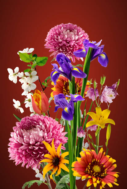 istock isolated image of beautiful flowers on yellow background. 914050780