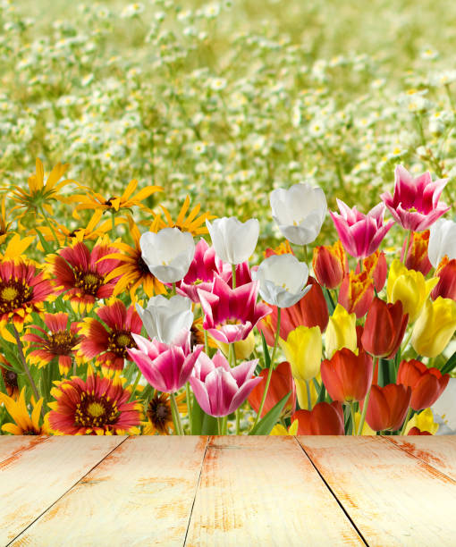 istock Image of beautiful flowers 914053868