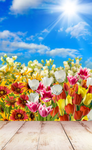 istock Image of beautiful flower 914053954