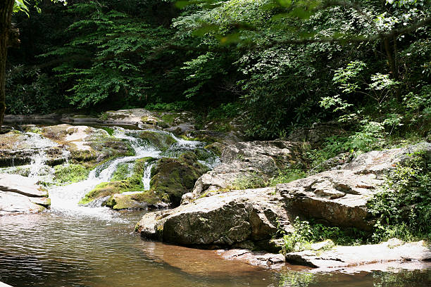 istock stream in the smokies 91405677