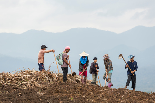 Mae Sot, Tak, Thailand - January 11, 2017 : Unidentified Karen as agricultural workers are digging soil preparation for planting corn at Mahawan, Mae Sot, Tak, Thailand.