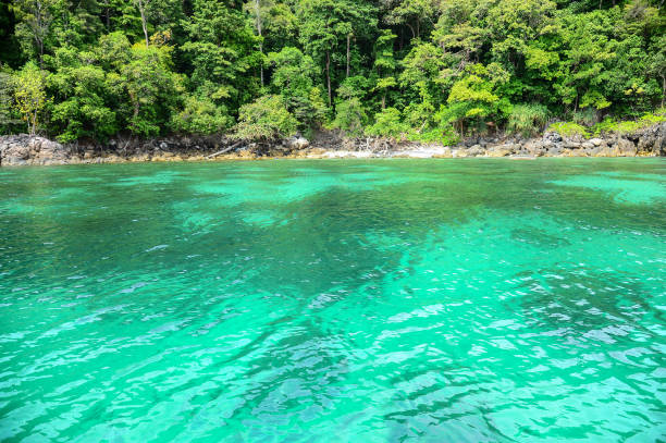 Adang Rawi islands in Tarutao National Park Adang-Rawi islands in Tarutao National Park at Satun, Thailand. tarutao stock pictures, royalty-free photos & images