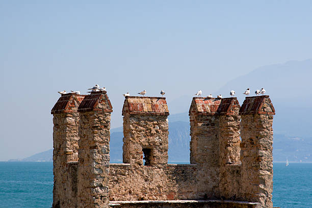 Pináculos de castelo com pombos branco - foto de acervo