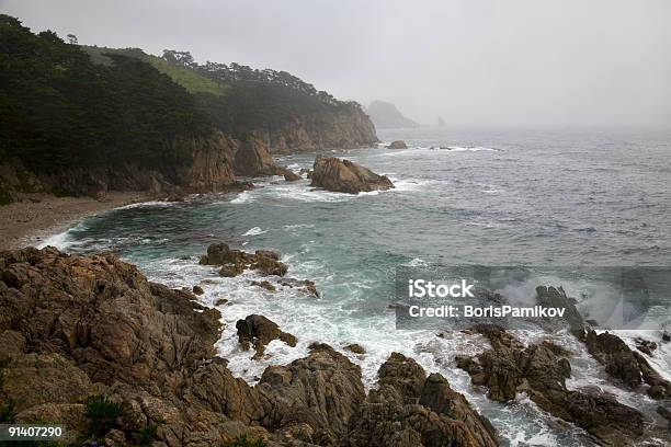 Inclement Beauty Of Pacific Ocean Coastline Stock Photo - Download Image Now - At The Edge Of, Beach, Beauty