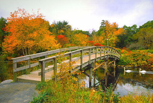 Walking bridge in autumn over Lake Nokomis in Minneapolis, Minnesota.