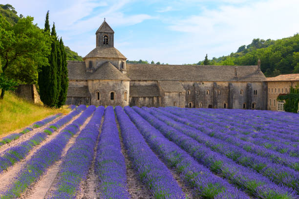 istock An ancient monastery Abbaye Notre-Dame de Senanque 914074276