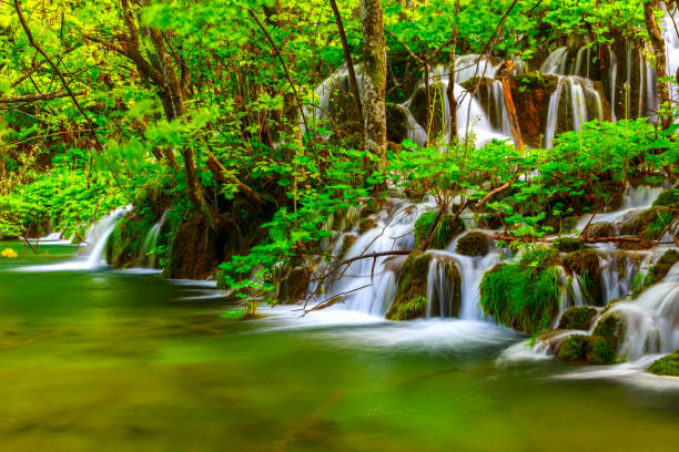 istock Waterfalls in Plitvice National Park 914074768