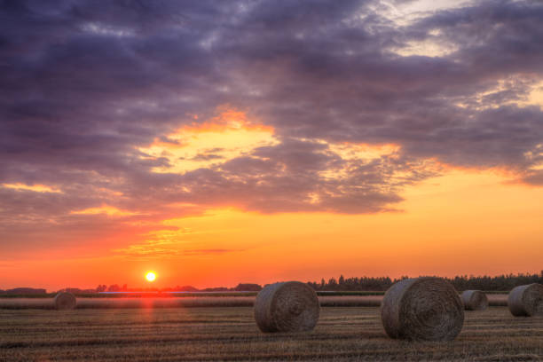 istock Sunset over farm field with hay bales 914075116