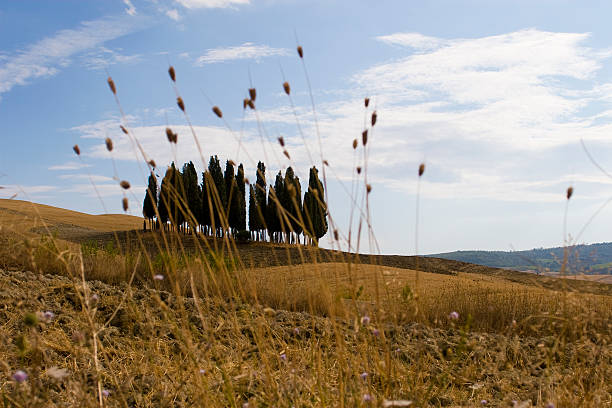 Tuscany Land stock photo