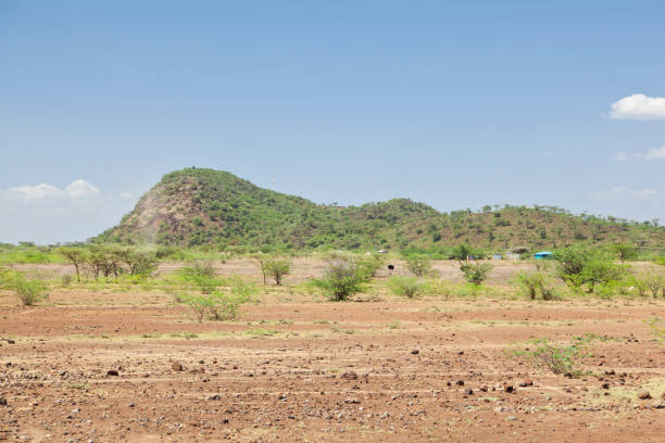 istock Lake Bogoria, Kenya 914085490