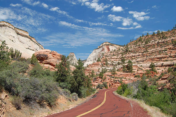 istock Road through Zion National Park 91408691