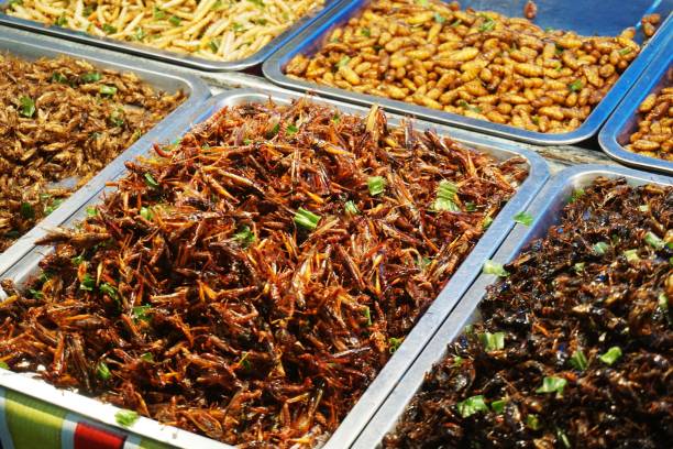 istock fried insects in food market 914088576