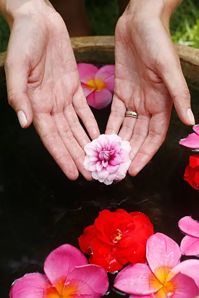 Photo of Flower Hand Reflection