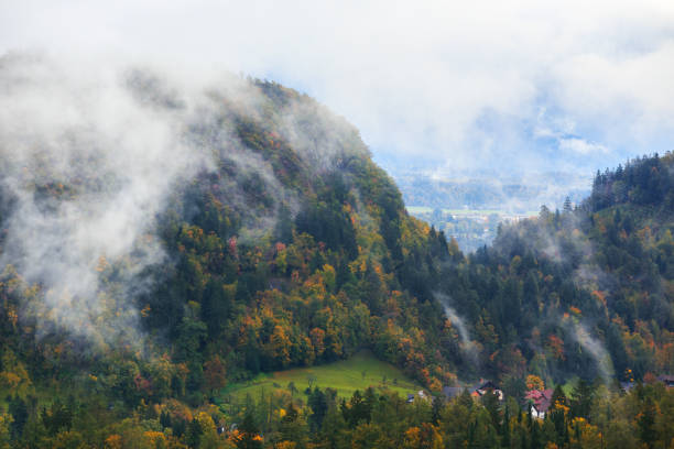istock The mountain autumn landscape with colorful forest 914089386