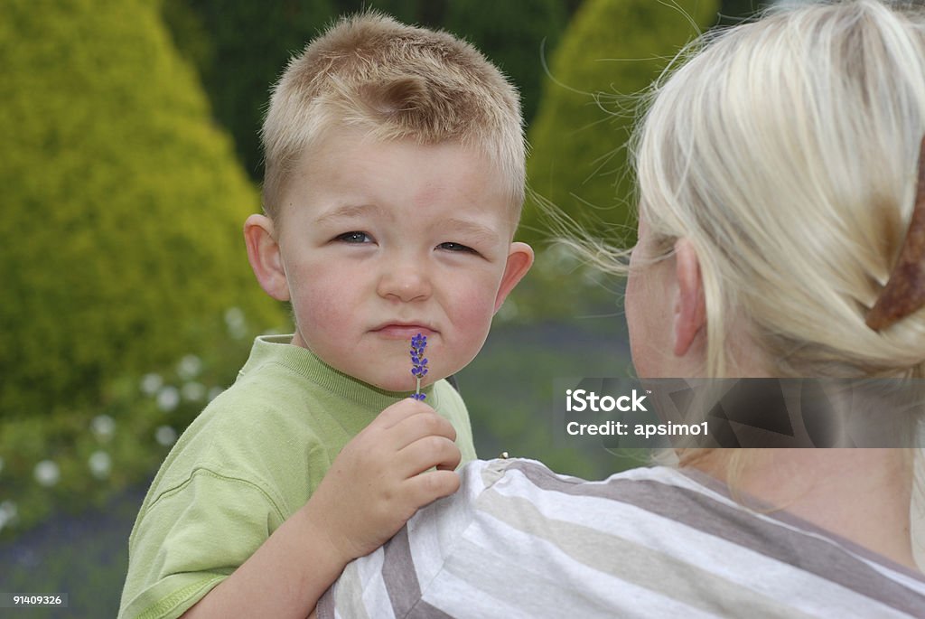 boy smells flower  Adult Stock Photo