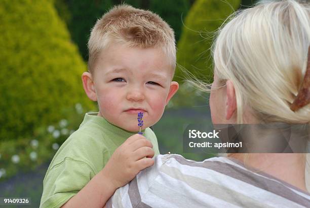 Boy Smells Flower Stock Photo - Download Image Now - Adult, Animal Nose, Blond Hair