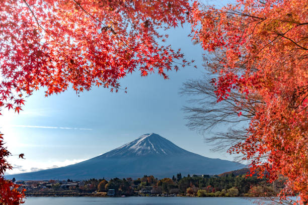 istock Mt Fuji in autumn behind the red maple tree from Lake Kawaguchi 914093664