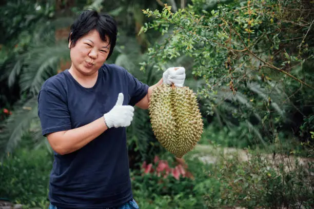 Photo of Asian farmer holding Durian is a king of fruit