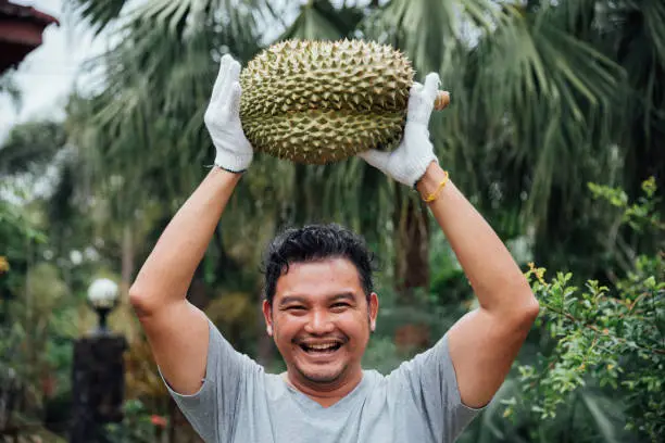 Photo of Asian farmer holding Durian is a king of fruit