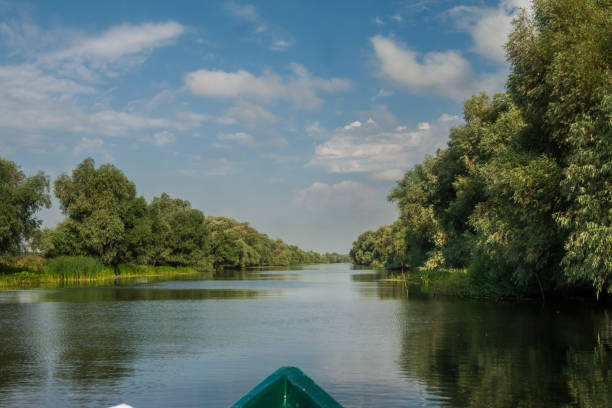 istock Canal in Danube Delta, boat view 914097242