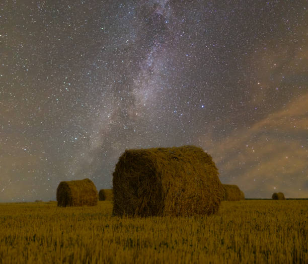 istock night summer wheat field after a harvest on a milky way background 914097510