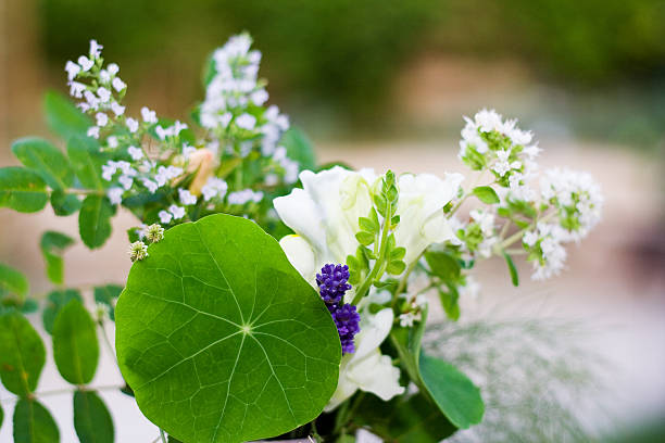 Bunch of flowers  funeral planning stock pictures, royalty-free photos & images