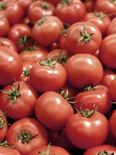istock Heap of Red Tomatoes 914104808