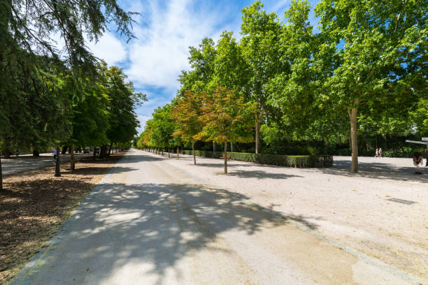 istock The Buen Retiro Park - Madrid - Spain 914111202
