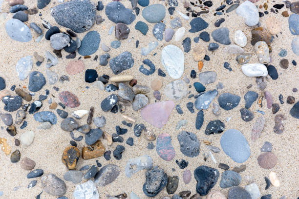 Beach in Lanzarote, Canary Islands