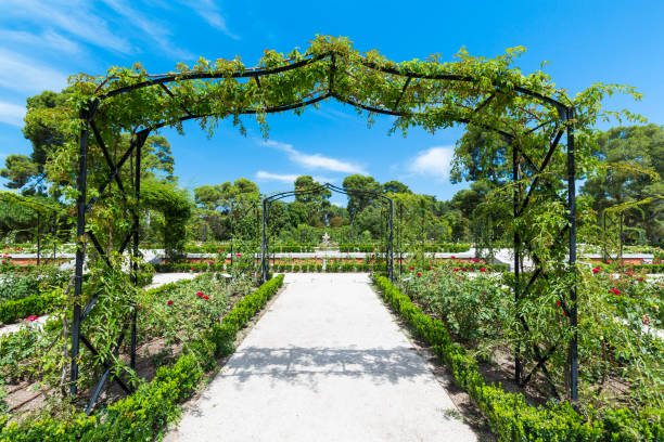 istock The Buen Retiro Park - Madrid - Spain 914114236