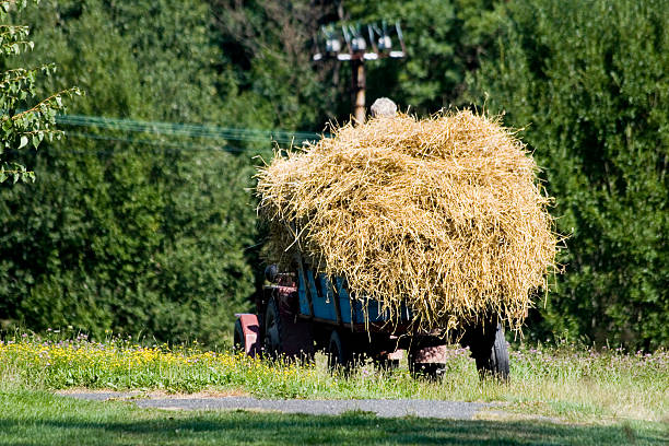 istock At work in the country 3 91411509