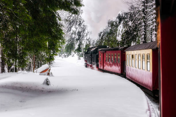 istock Train ride to the Brocken through winter landscape 914121726