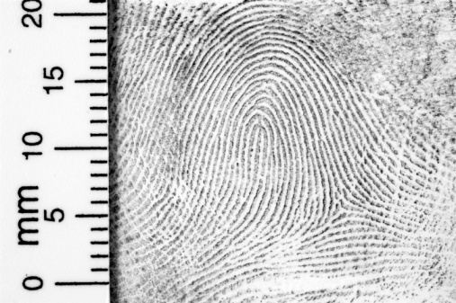 Close-up of fingerprint with centimeter scale.