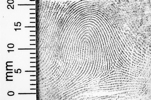 Fingerprint with ruler for measurement Close-up of fingerprint with centimeter scale. evidence photos stock pictures, royalty-free photos & images