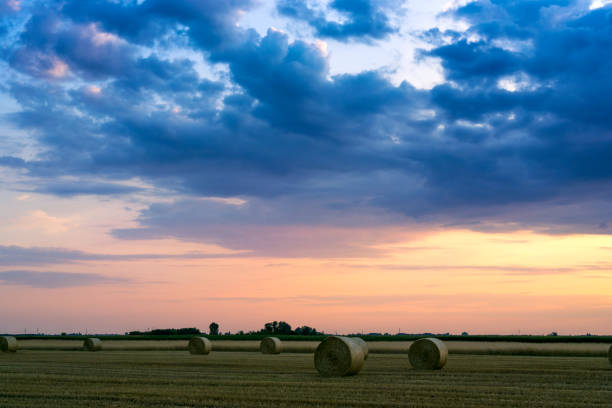istock Sunset over farm field with hay bales 914122768