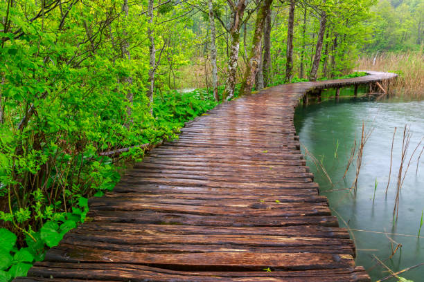 istock Boardwalk in the park Plitvice lakes 914122878