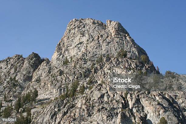 Leah S Peak - Fotografie stock e altre immagini di Albero - Albero, Albero caduto, Albero sempreverde