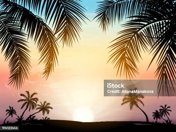 Carte Avec La Silhouette Darbres De Paume Réaliste Sur Fond De Coucher De Soleil Plage Tropicale Grunge Vecteurs libres de droits et plus d'images vectorielles de Palmier