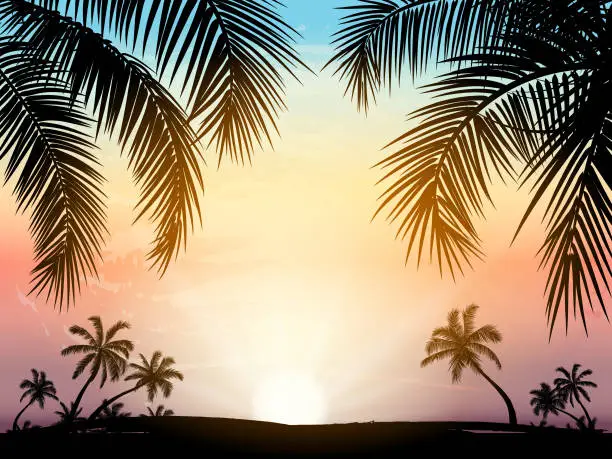 Vector illustration of Card with realistic palm trees silhouette on tropical grunge sunset beach background.